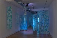 Installation view Abi Spendlove, ‘Mediator' at Broadway Gallery, 2021.